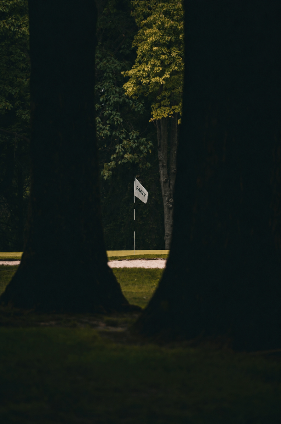 A white PARLY flag on the pin framed by dark trees