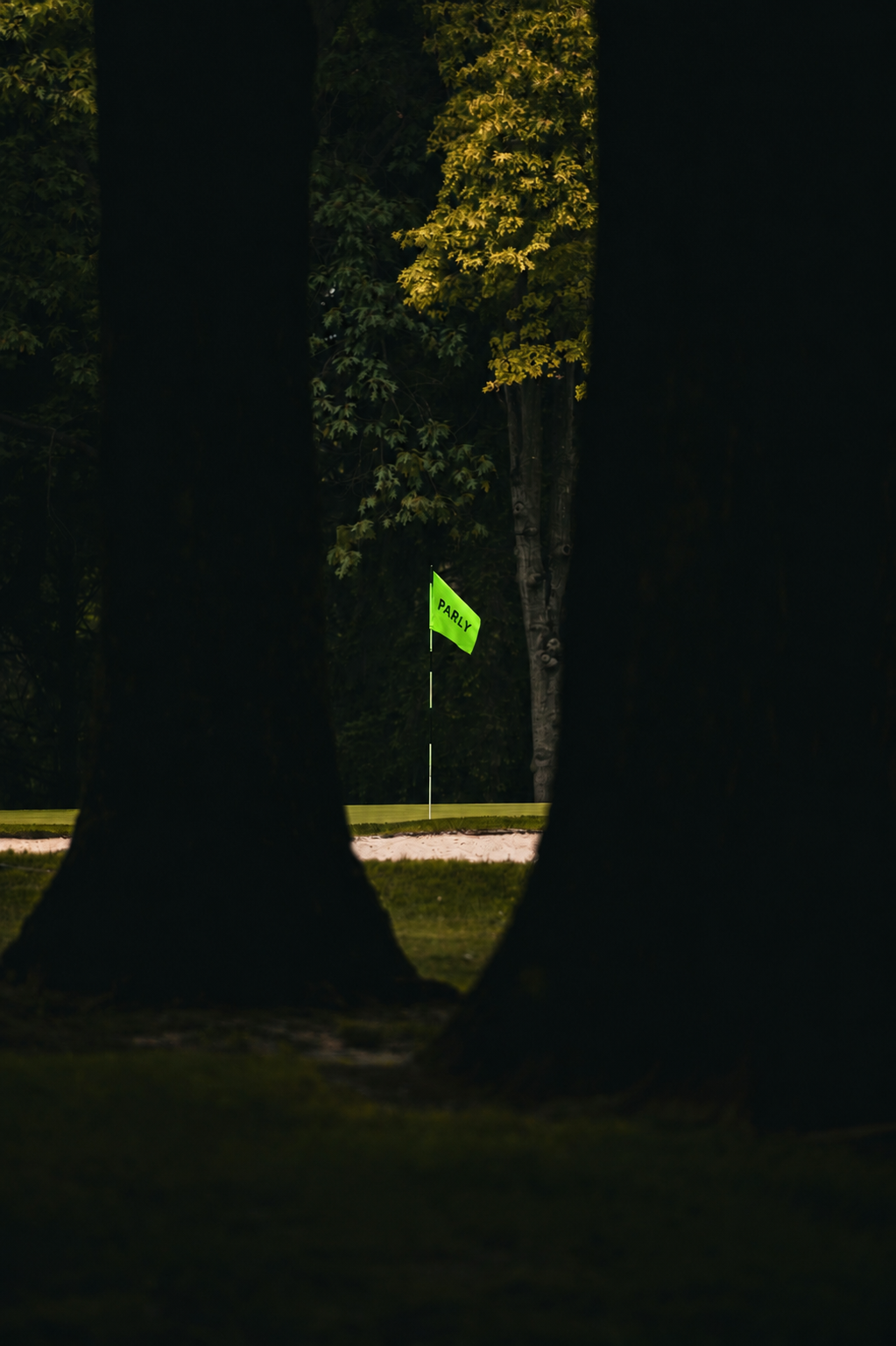 A green PARLY flag on the pin framed by dark trees